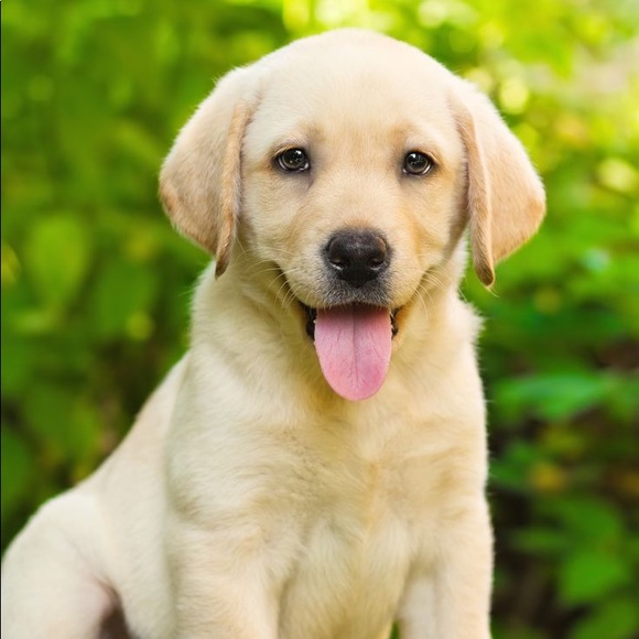 Meet your Posher, Melanie - Picture 1 of 1